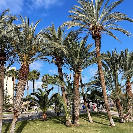 Las Piteras Apartments アロナ エクステリア 写真