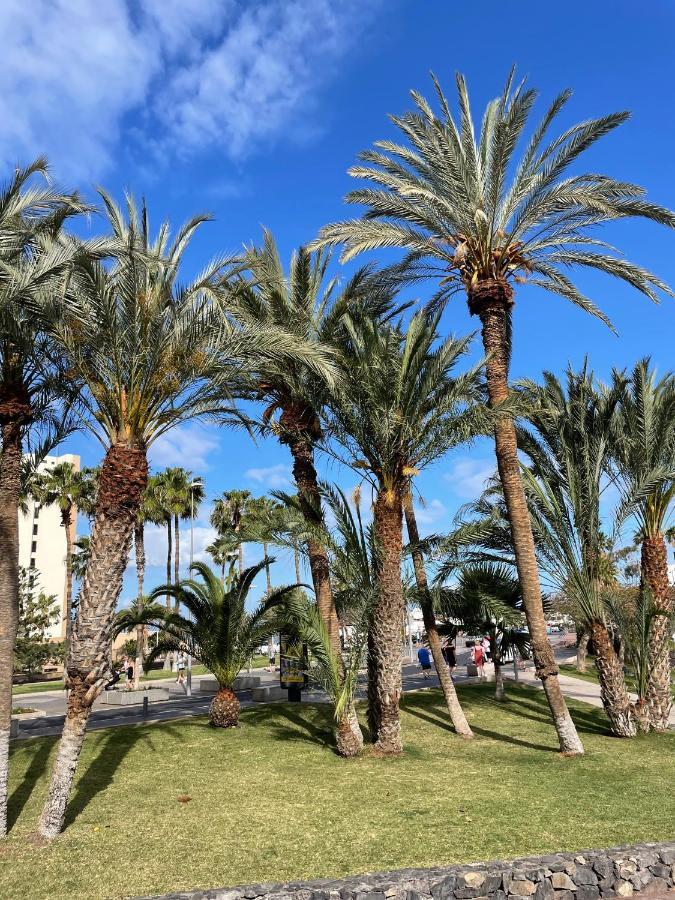 Las Piteras Apartments アロナ エクステリア 写真